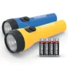 Batteries Torche