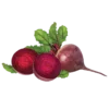 Beetroots