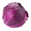 Cabbage Red