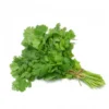 Coriander